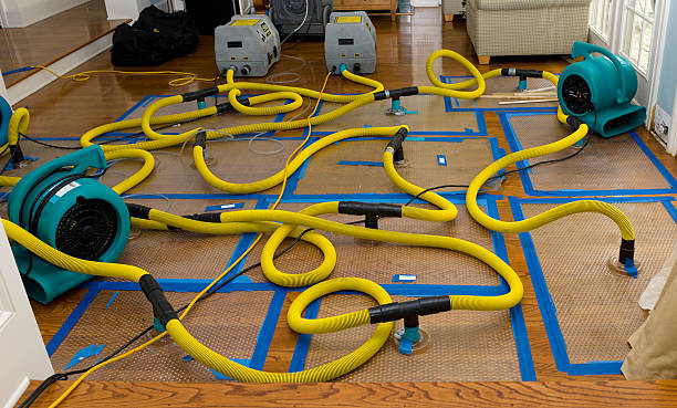Professional Storm Water Damage Restoration technician working in Francitas, TX